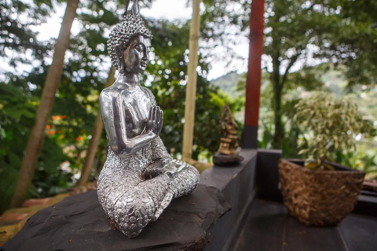 Lodge The Secret Buddha Medellin