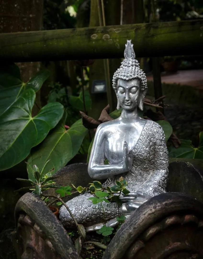 The Secret Buddha Medellin Lodge