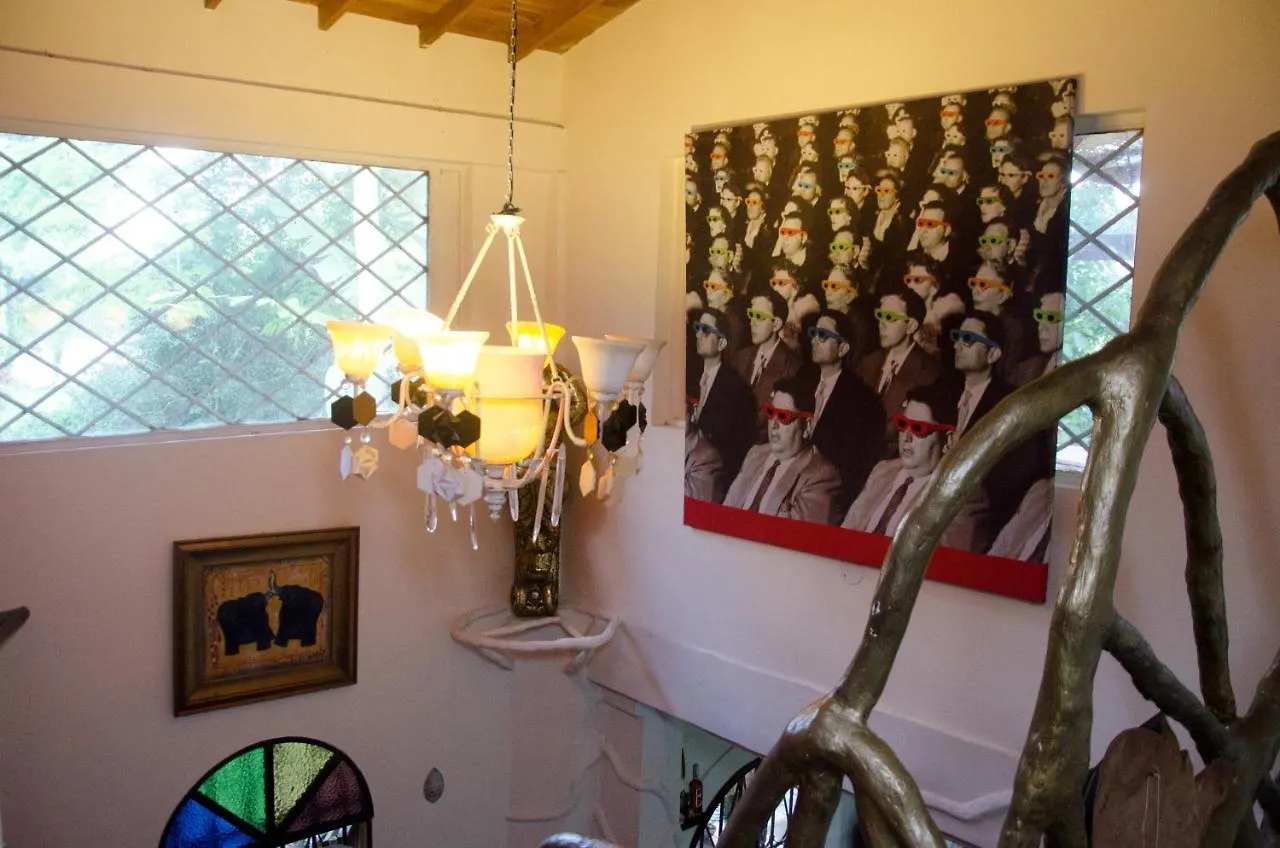 Lodge The Secret Buddha Medellin Colombia