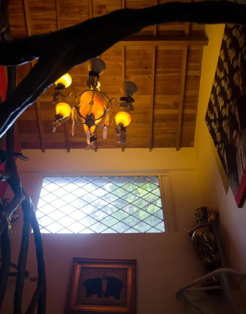 Lodge The Secret Buddha Medellin Colombia