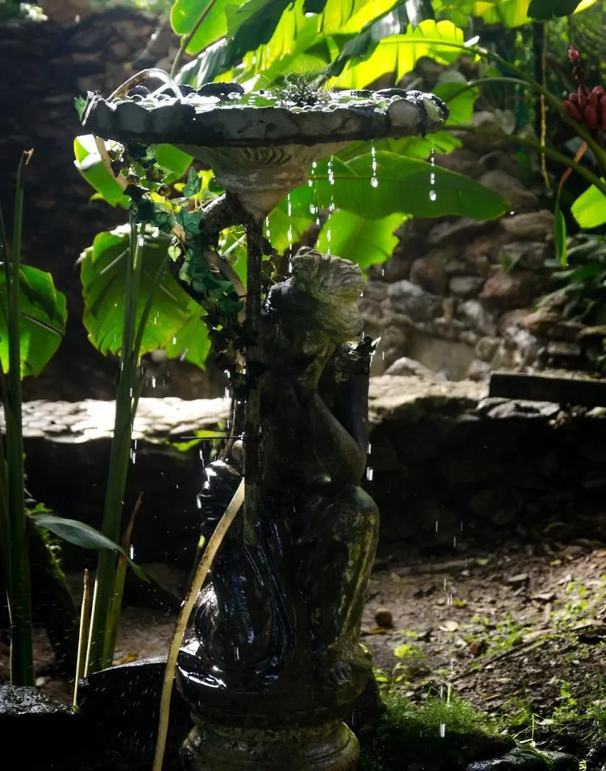 Lodge The Secret Buddha Medellin