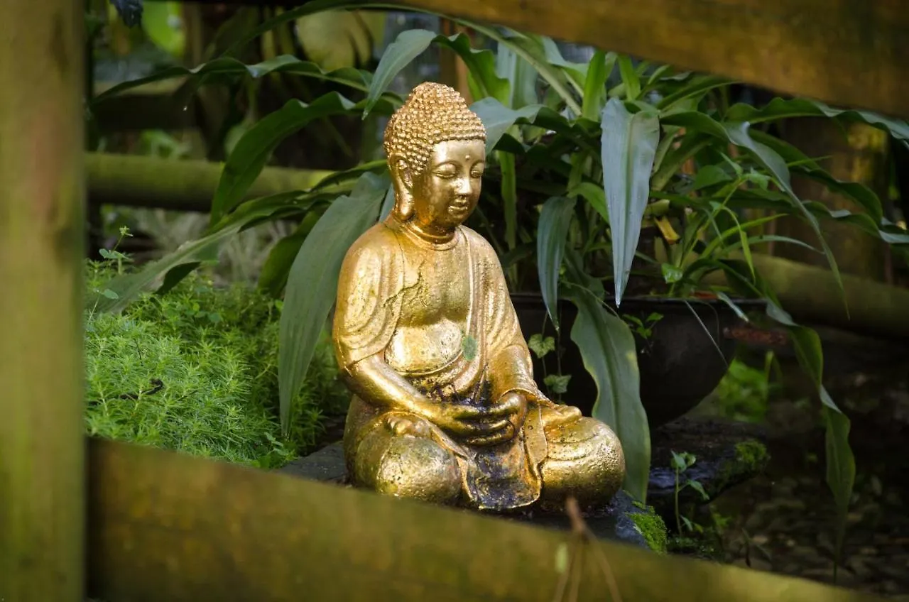 Lodge The Secret Buddha Medellin Colombia