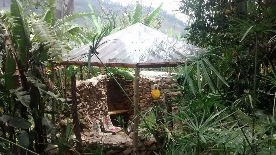 The Secret Buddha Medellin 0*,  Colombia